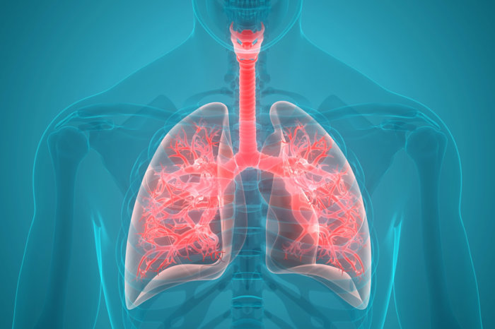 Fibrose cística: novo spray pode ajudar a lubrificar as vias aéreas