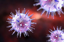 Infecção pelo vírus Epstein-Barr aumenta em mais de 30 vezes o risco de desenvolver esclerose múltipla