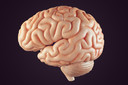 Risco de meningioma, um tumor cerebral, aumenta com o uso de uma injeção anticoncepcional